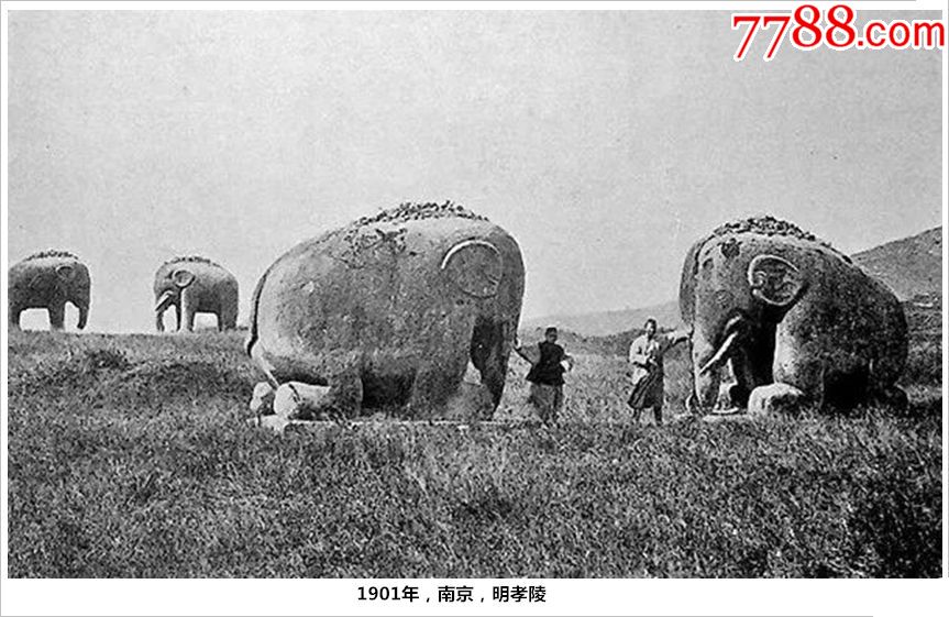 1901年,南京,明孝陵_老照片_顺流逆流【7788收藏__收藏热线】
