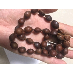 老杏胡(se71452405)_7788收藏__收藏热线