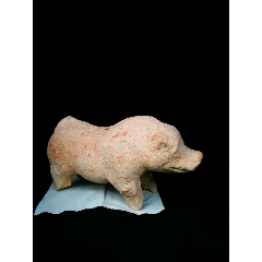 汉陶猪(se71457586)_7788收藏__收藏热线