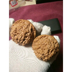 精品老树王勇官帽(se71459821)_7788收藏__收藏热线