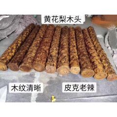 黄花梨木头。(se71461230)_7788收藏__收藏热线