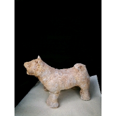 陶狗(se71463331)_7788收藏__收藏热线