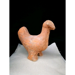 鸡(se71463498)_7788收藏__收藏热线