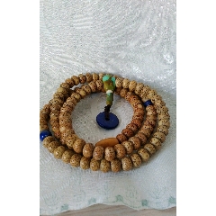 星月菩提(se71465015)_7788收藏__收藏热线