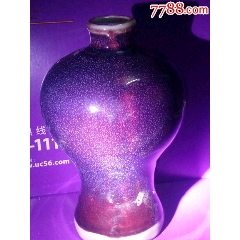 花瓶(se71466176)_7788收藏__收藏热线