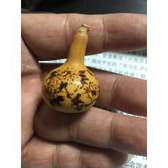 烙画小葫芦(se71473826)_7788收藏__收藏热线