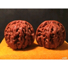 精品机刷四座楼狮子头(se71474402)_7788收藏__收藏热线