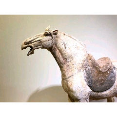 大唐马俑(se71474900)_7788收藏__收藏热线