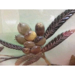 六十年代牛角画(se71476666)_7788收藏__收藏热线