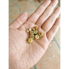 小骰子几个(se71476956)_7788收藏__收藏热线