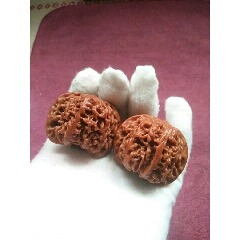 精品机刷四座楼狮子头(se71459913)_7788收藏__收藏热线