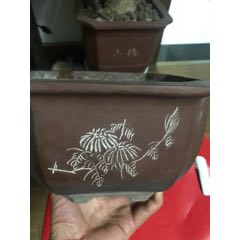 老陶紫砂花盆文革盆(se71488563)_7788收藏__收藏热线