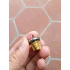 辟邪牙吊坠(se71489007)_7788收藏__收藏热线