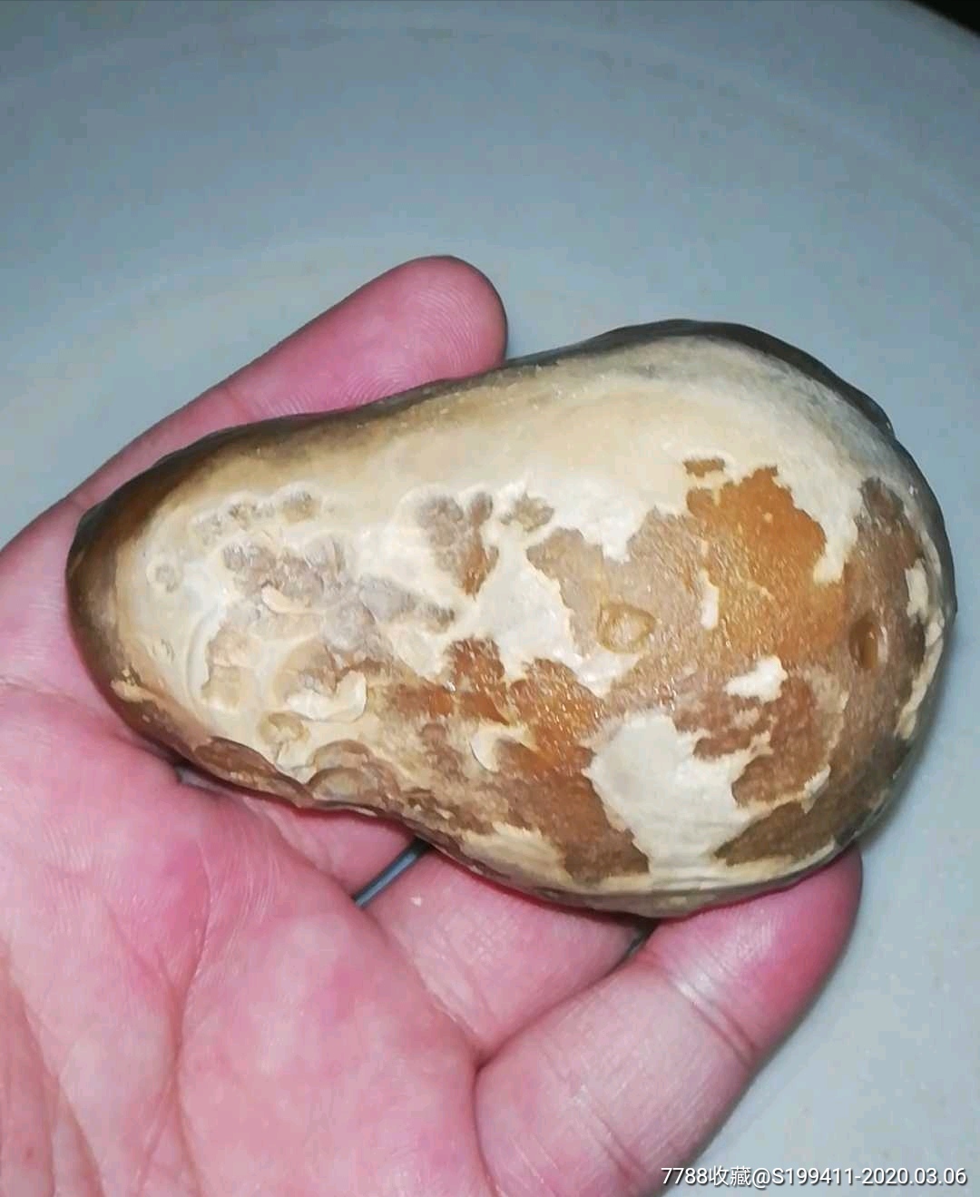 戈壁埃及沙漠蛋白蛋白玛瑙石象形牛鼻子牛气冲天桌面摆件把玩手把件