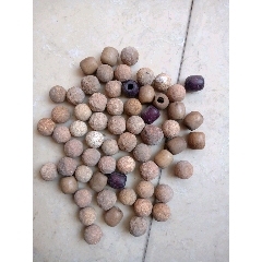 珠子(se71505142)_7788收藏__收藏热线