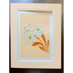 通草画（带简易画框）(se71507620)_7788收藏__收藏热线