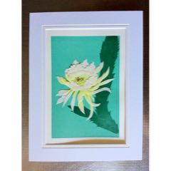 通草画（带简易画框）(se71507727)_7788收藏__收藏热线