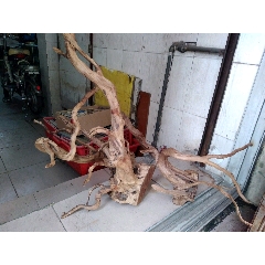树根雕2支(se71508355)_7788收藏__收藏热线