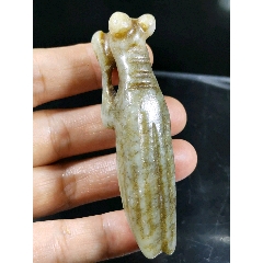 红山(se71510755)_7788收藏__收藏热线