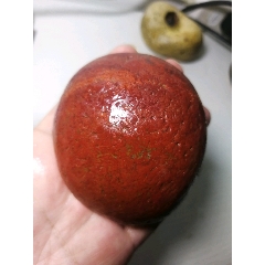 长江红！(se71511913)_7788收藏__收藏热线