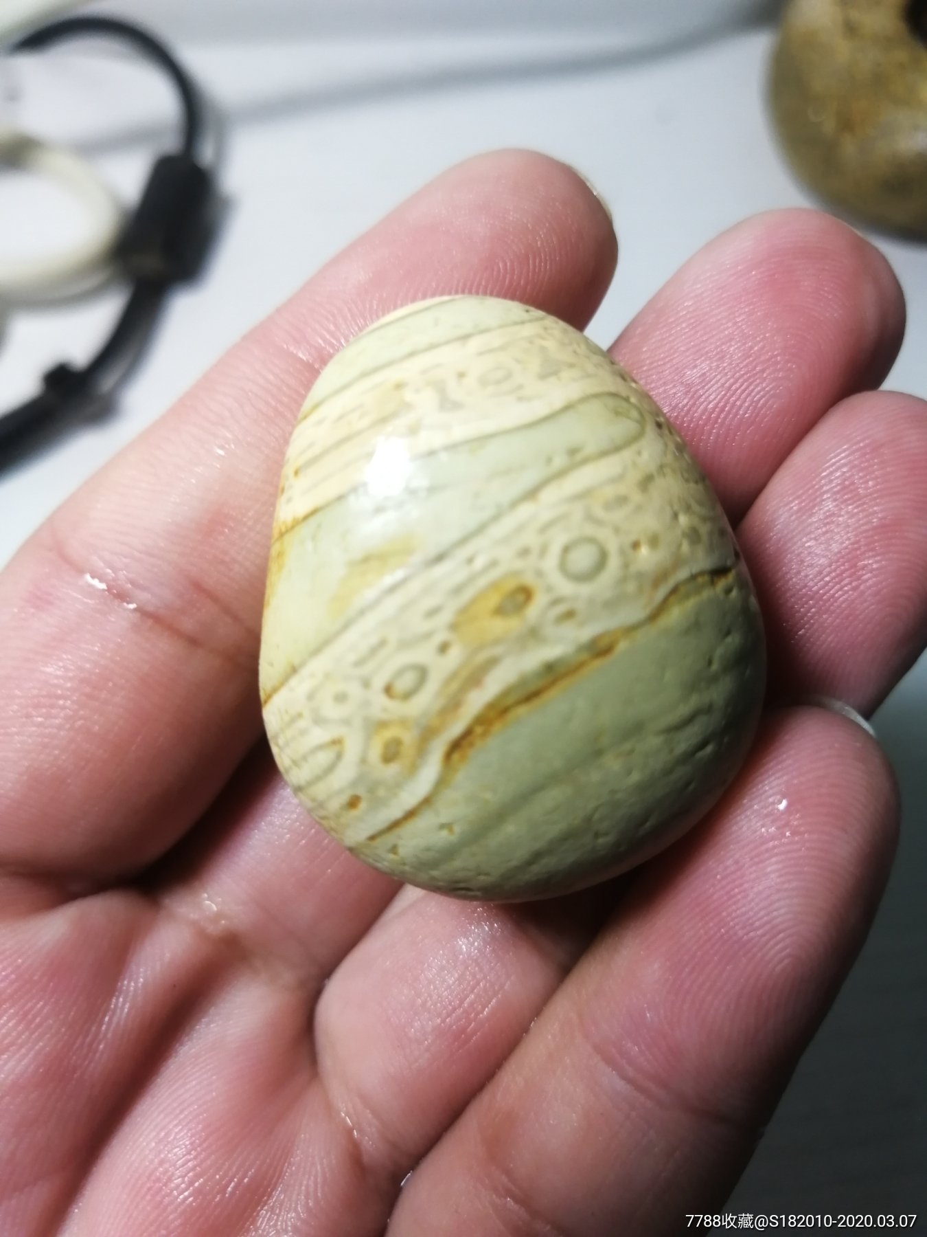 南京雨花石虎皮化石!