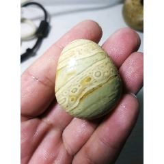 南京雨花石虎皮化石！(se71512197)_7788收藏__收藏热线