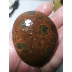 南京雨花石虎皮化石！(se71512316)_7788收藏__收藏热线