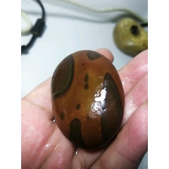 长江雨花石虎皮化石！(se71512388)_7788收藏__收藏热线