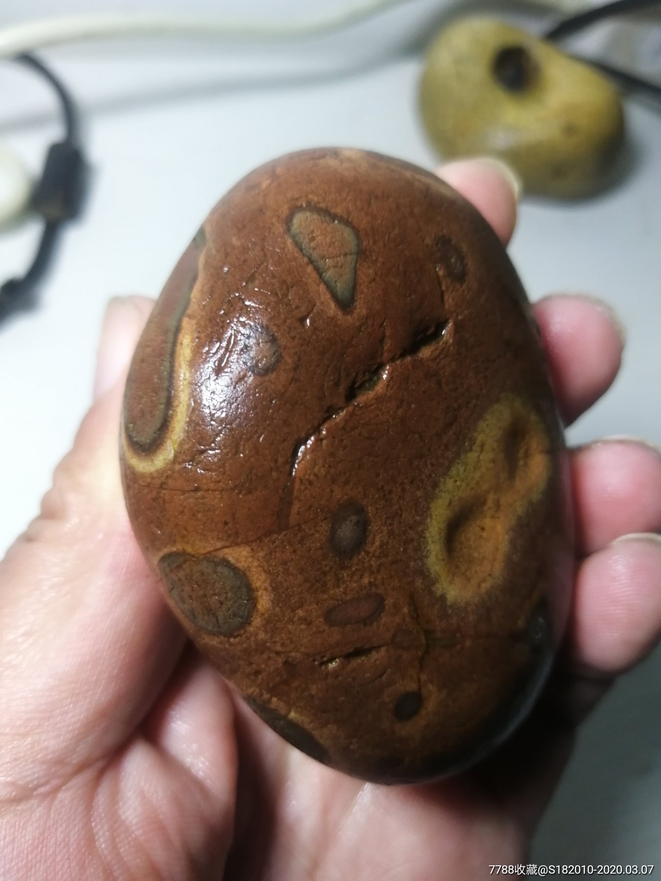 南京雨花石虎皮化石!