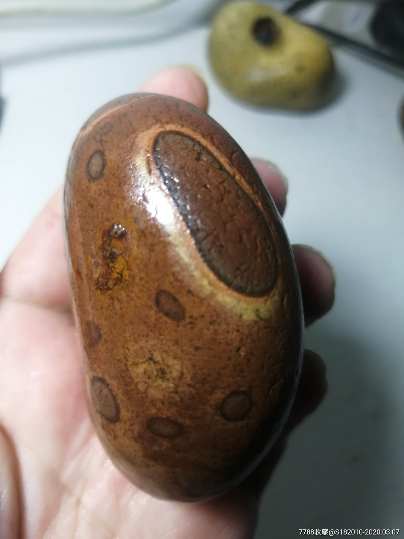 南京雨花石虎皮化石!