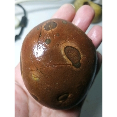 南京雨花石虎皮化石！(se71512460)_7788收藏__收藏热线