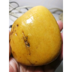 新疆金丝玉！(se71512588)_7788收藏__收藏热线