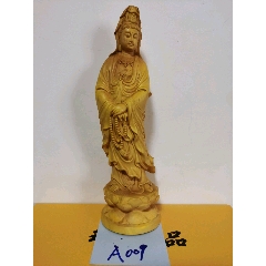 黄杨木观音。(se71512638)_7788收藏__收藏热线