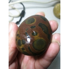 南京雨花石虎皮化石！(se71513015)_7788收藏__收藏热线