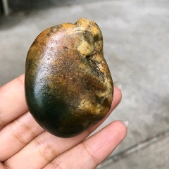 天然新疆和田玉黄沁俏色黄皮+沙枣青籽料原石玉器把件(se71518062)_7788收藏__收藏热线