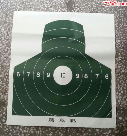 胸环靶10张