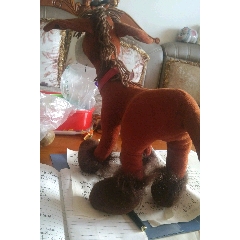 毛驴(se71518753)_7788收藏__收藏热线