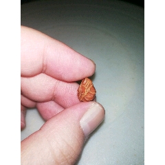 两颗戈壁玛瑙筋脉石。飘花玛瑙。(se71521526)_7788收藏__收藏热线