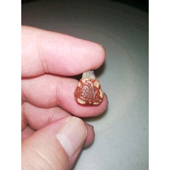 戈壁玛瑙筋脉石。飘花玛瑙。佛珠。(se71521579)_7788收藏__收藏热线