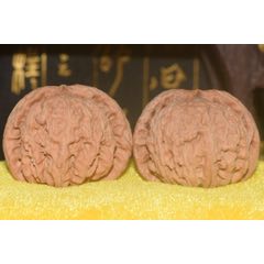 闷尖白狮子头(se71526545)_7788收藏__收藏热线