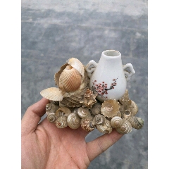 贝壳小鸟帆船加白瓷瓶(se71529836)_7788收藏__收藏热线