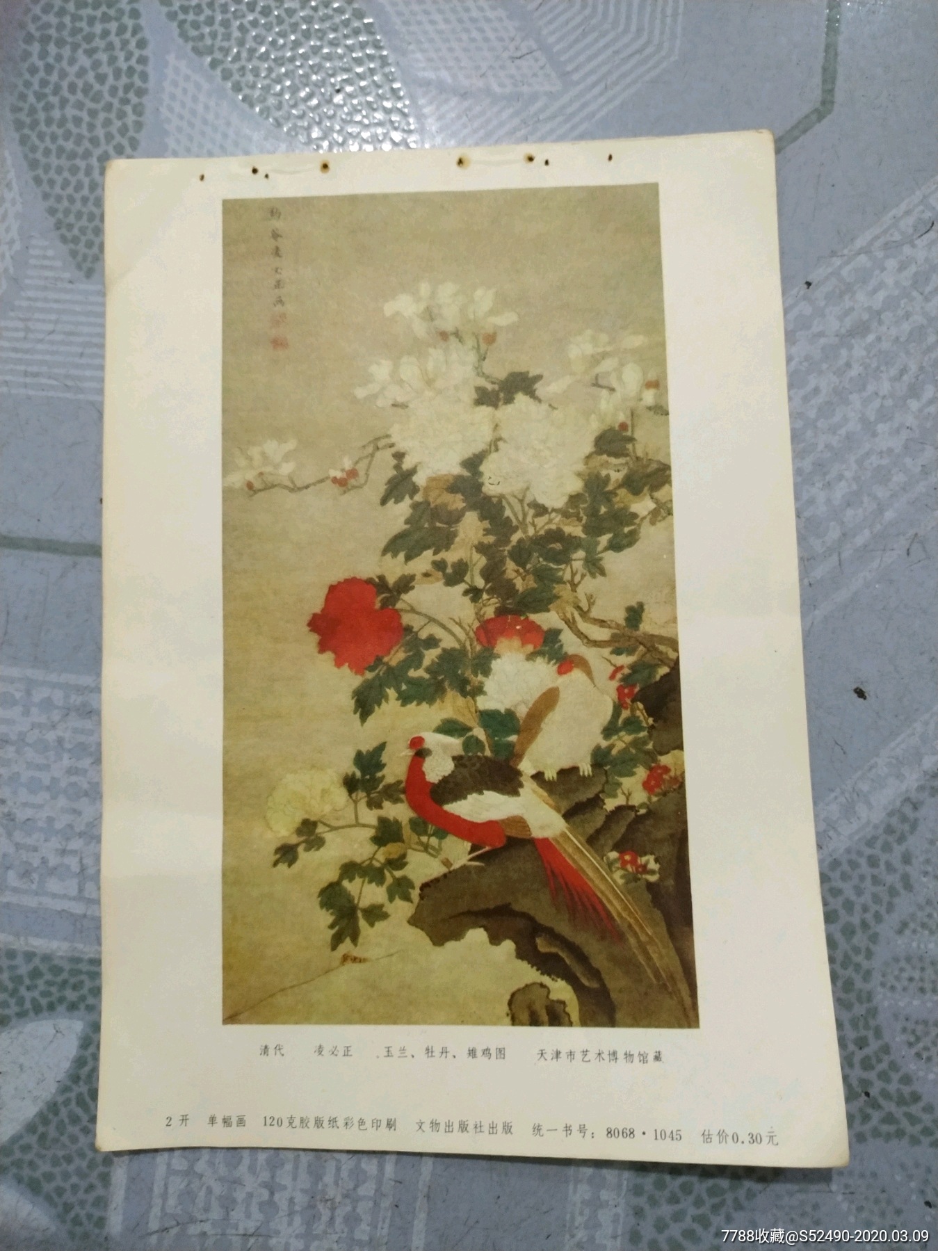 玉兰牡丹雉鸡图