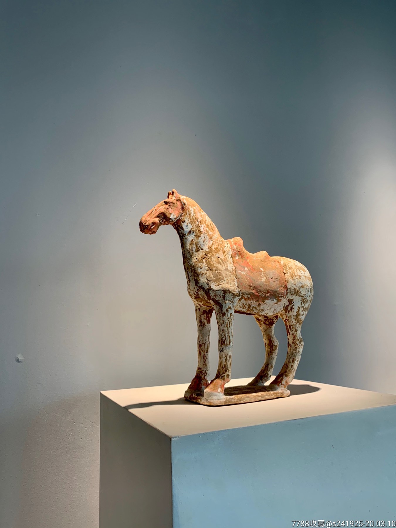 红陶马彩绘陶马唐家陶马生坑陶马