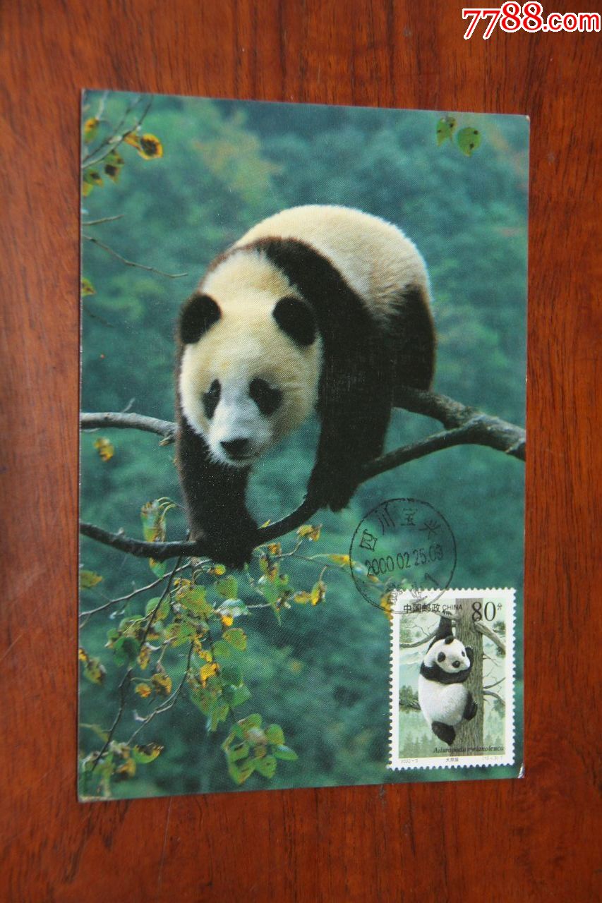 熊猫极限明信片