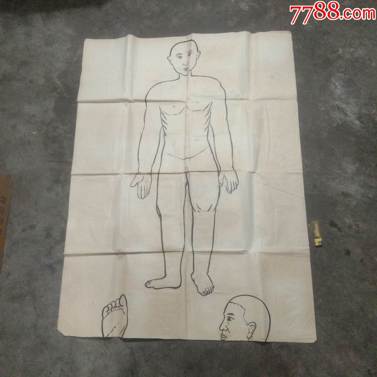 全开自制挂图人体部分经穴早期毛笔手绘1开