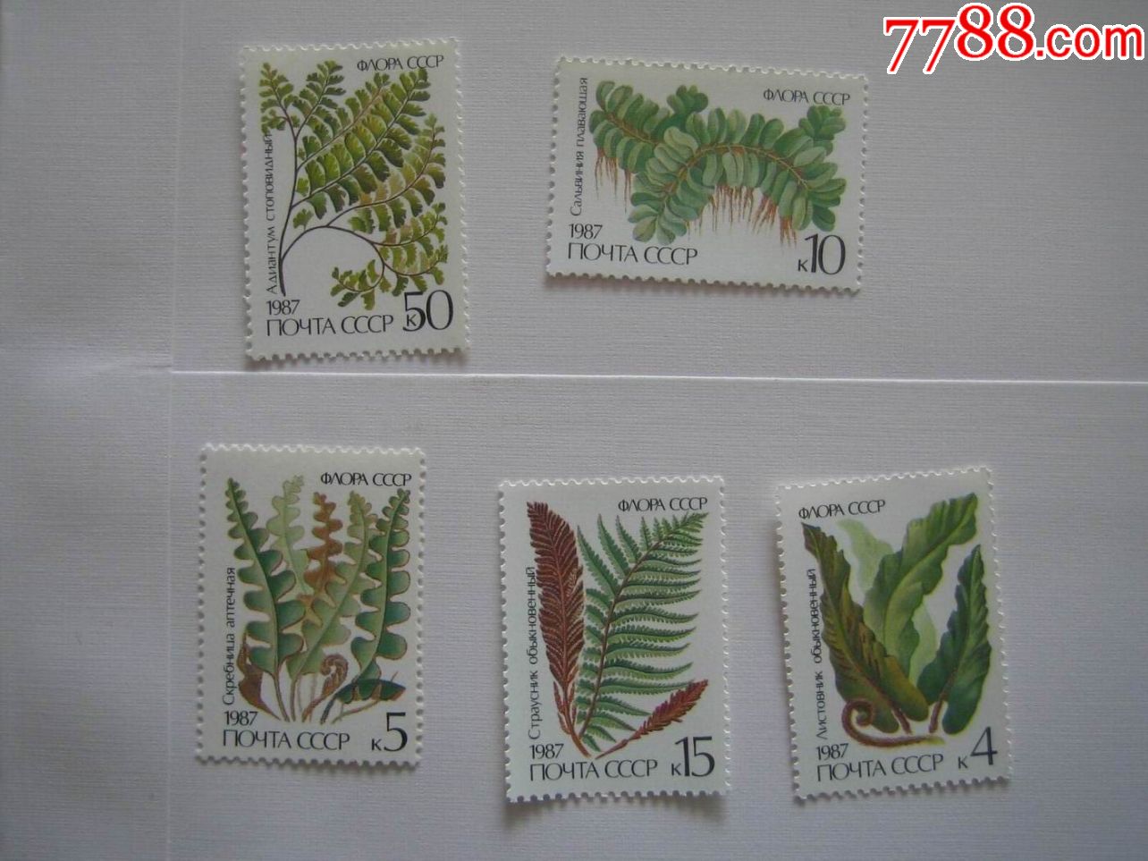苏联1987年植物树叶新票5枚原胶全品完整全套(119)
