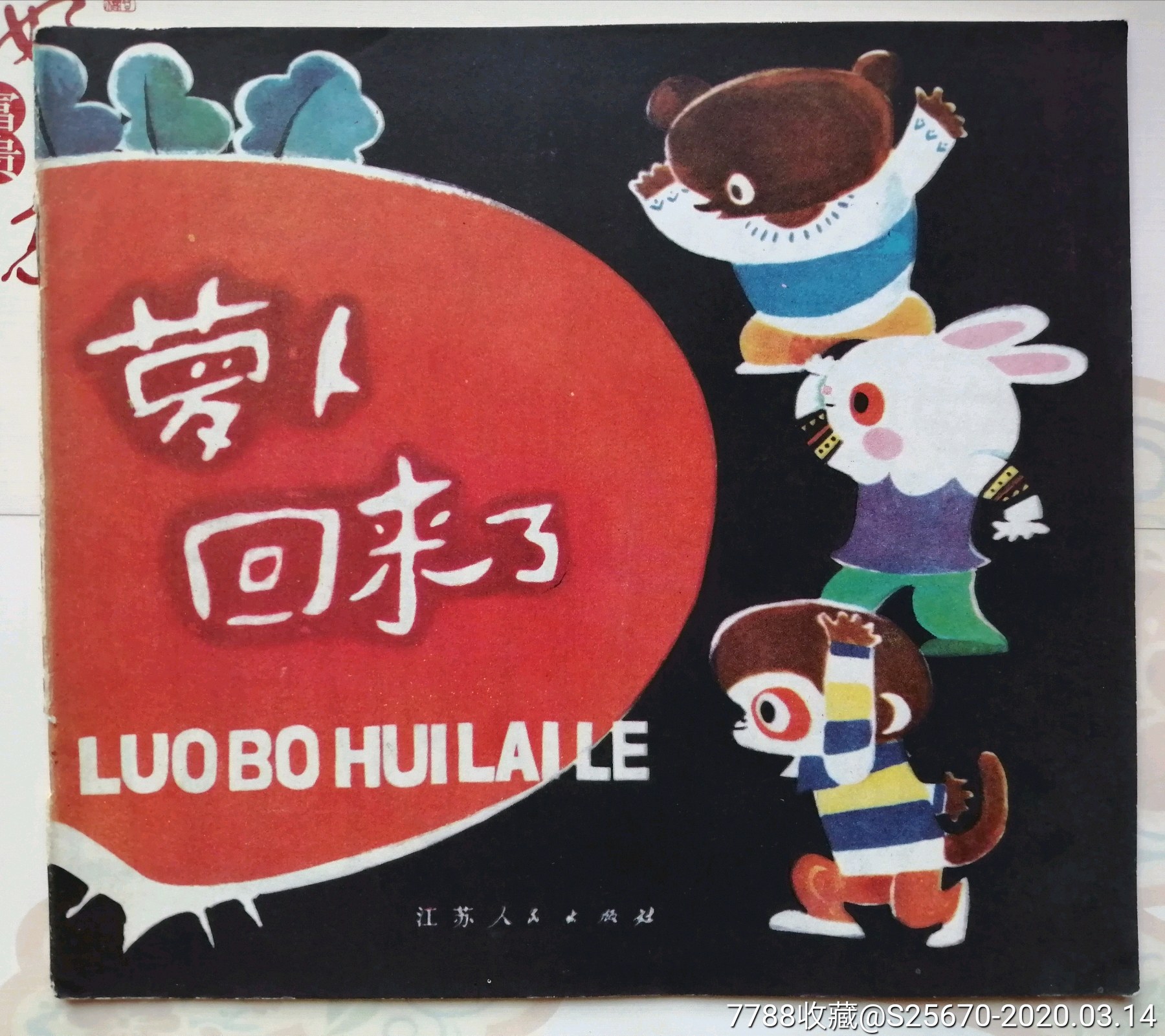 萝卜回来了