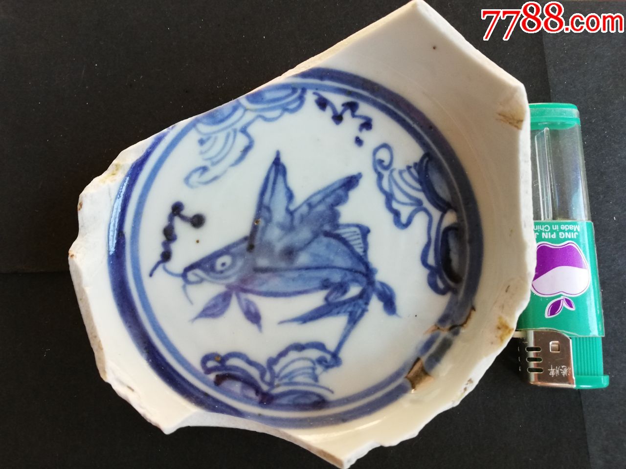 明末清初飞鱼标本