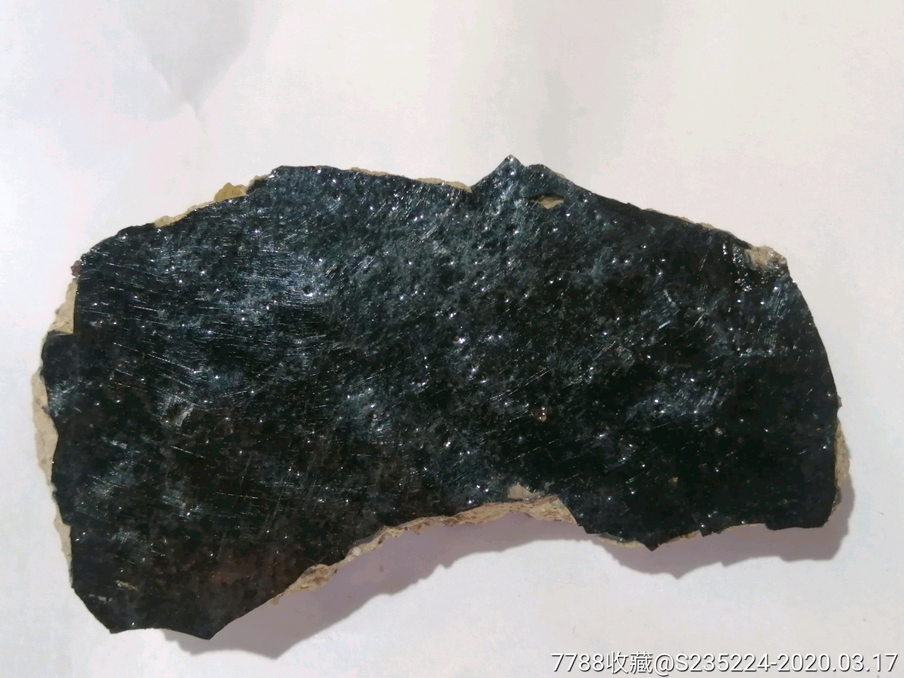 宋代定窑黑釉珍贵残片