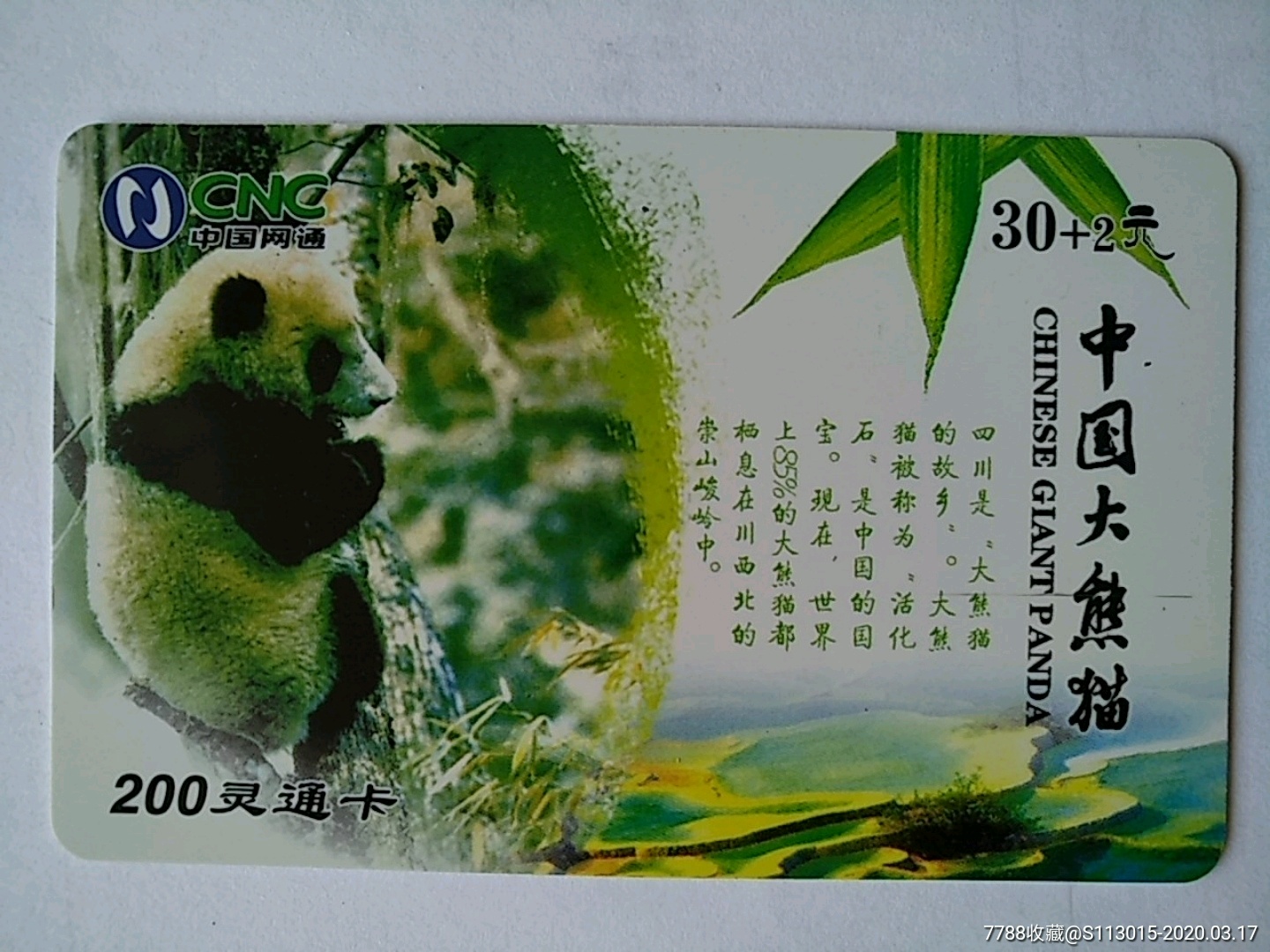 大熊猫的名片20字图片